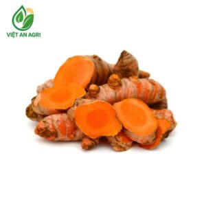 nghệ tươi