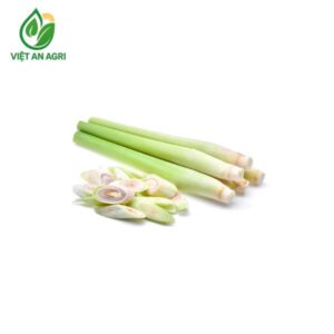sả cây