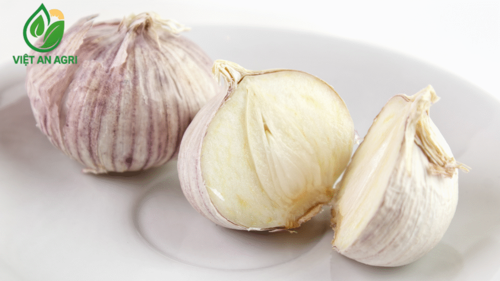 tỏi cô đơn ấn độ