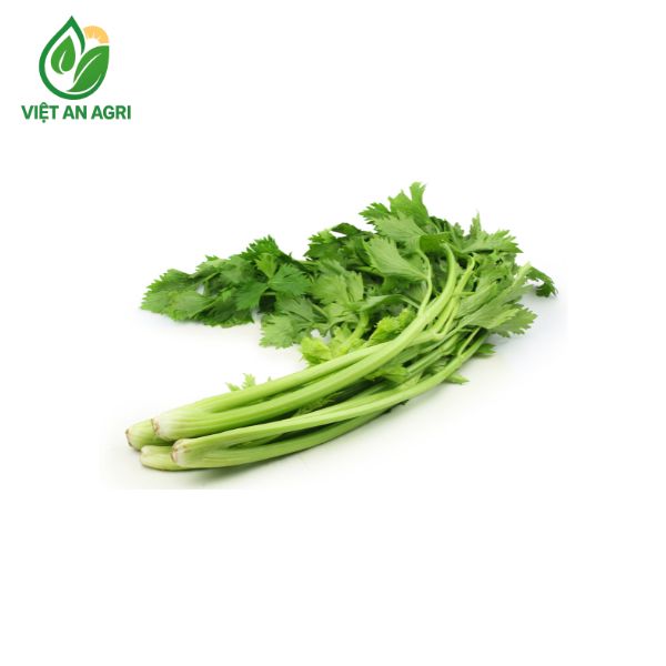 cần tây