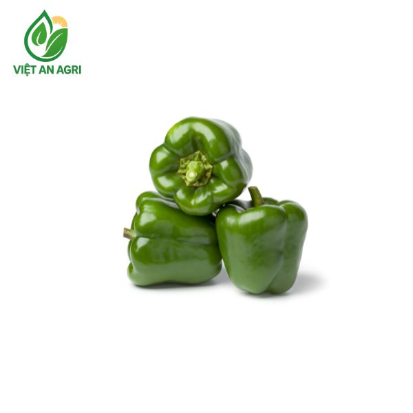ớt chuông xanh