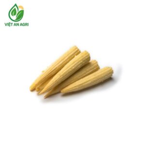 bắp non