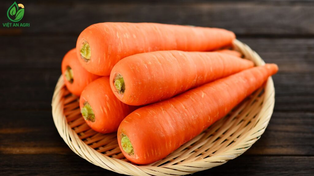 cà rốt