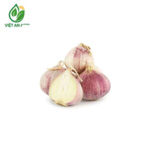 Tỏi cô đơn Ấn Độ
