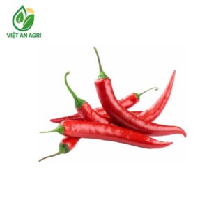 ớt sừng