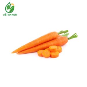cà rốt