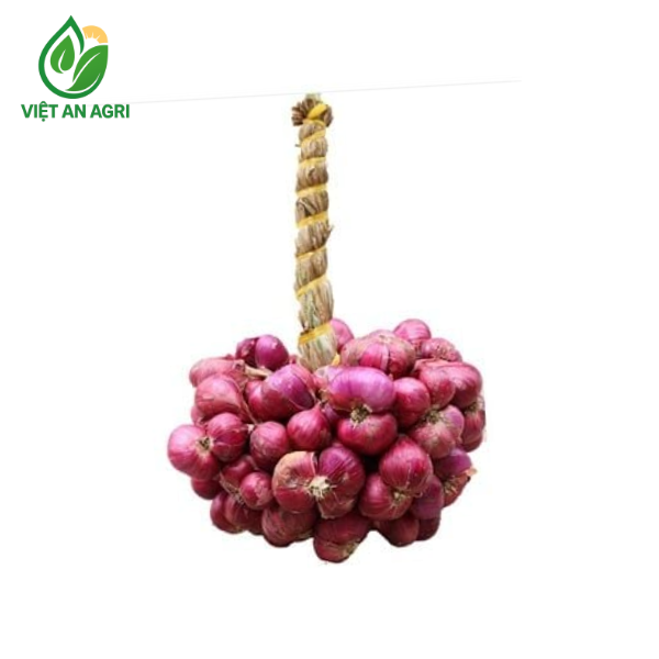 hành tím vĩnh châu
