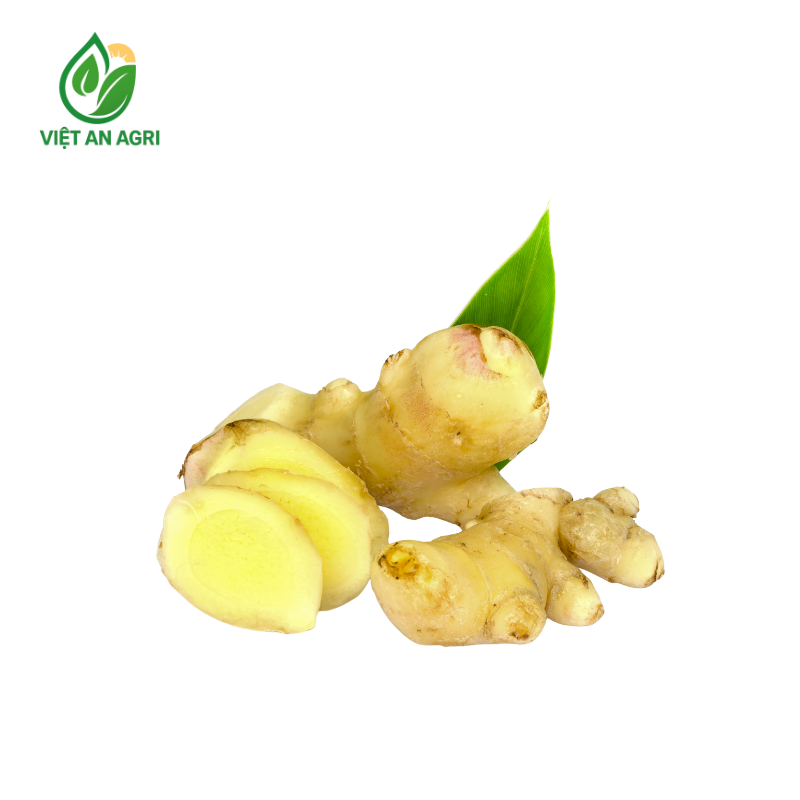 Gừng cạo vỏ