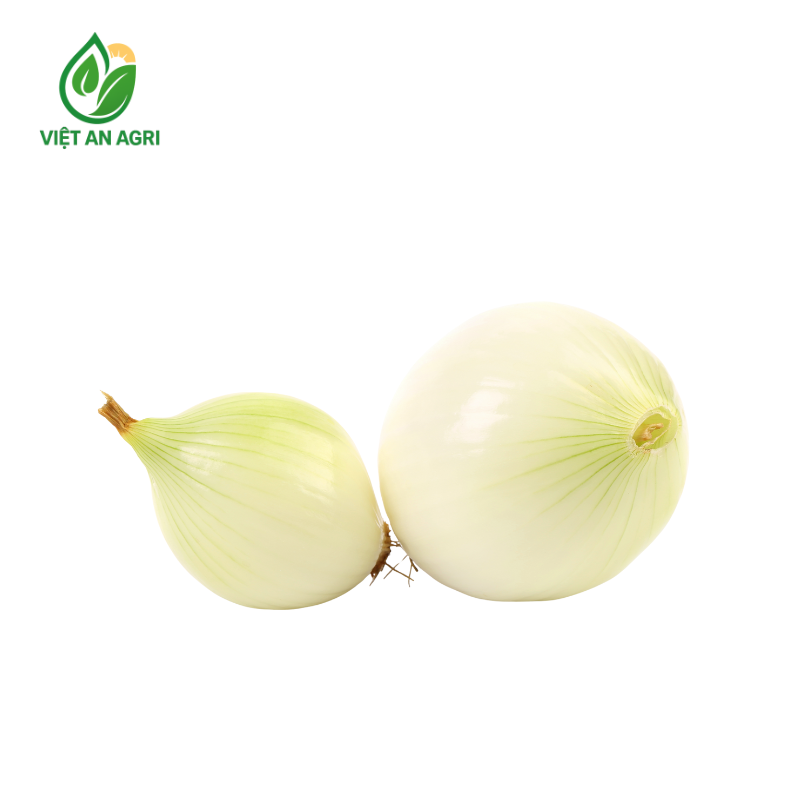 Hành tây lột vỏ