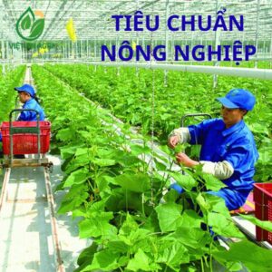 tiêu chuẩn chất lượng nông sản