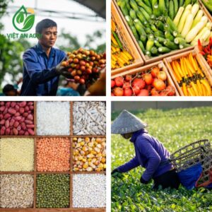 các loại nông sản