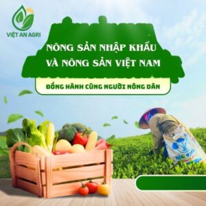 So sánh nông sản nhập khẩu và nông sản Việt Nam