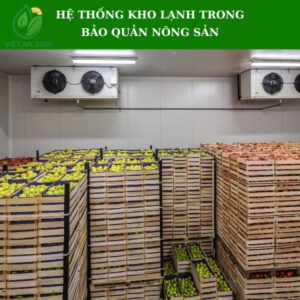 Hệ thống kho lạnh