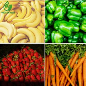 Đảm bảo đồng nhất chất lượng nông sản