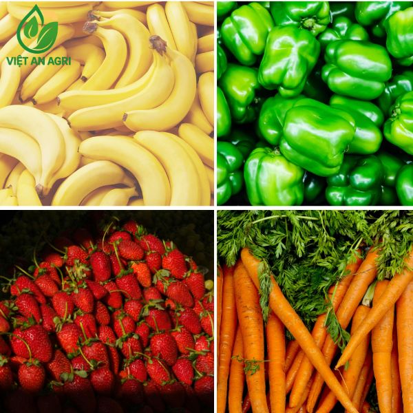 Đảm bảo đồng nhất chất lượng nông sản