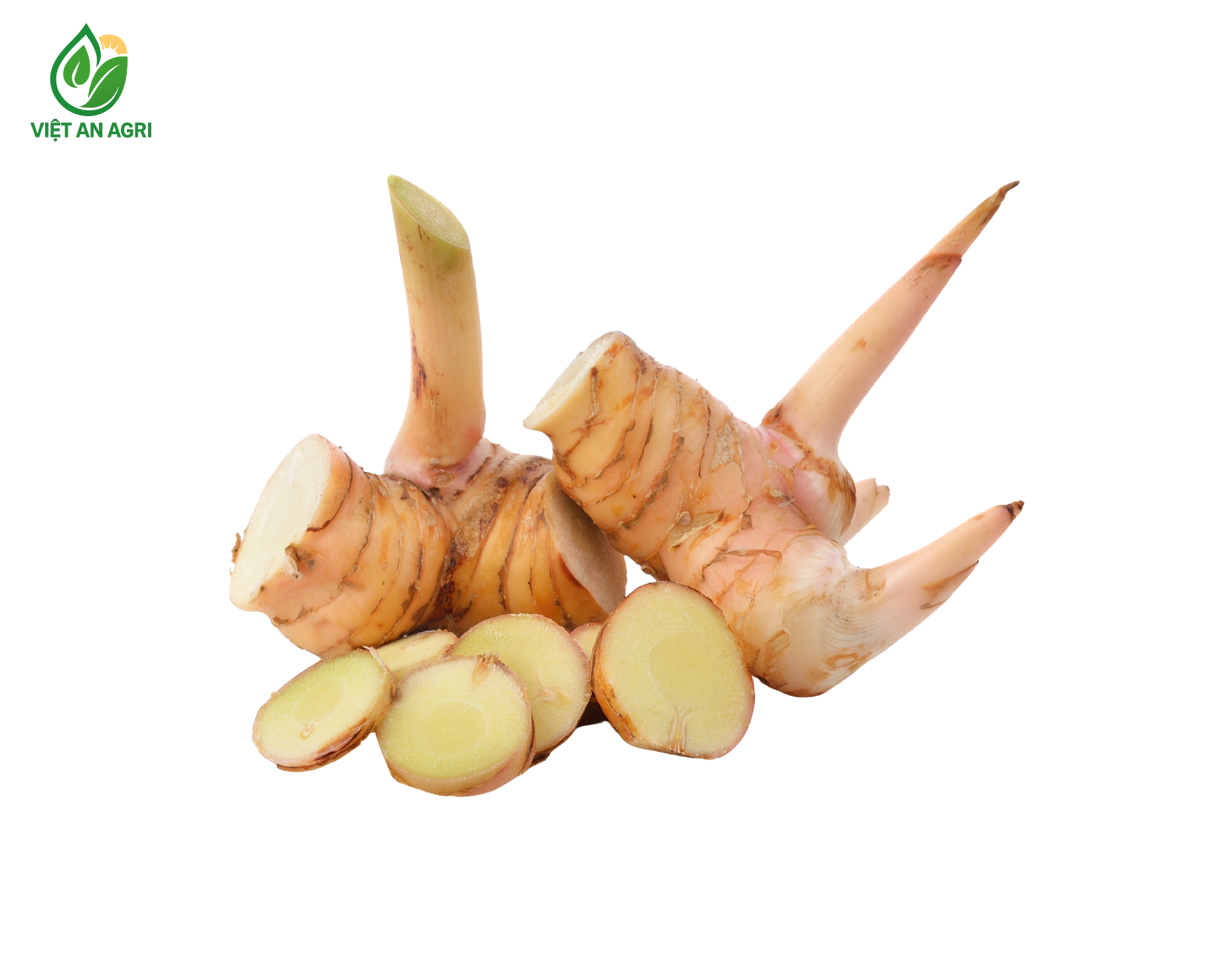 Riềng cạo vỏ