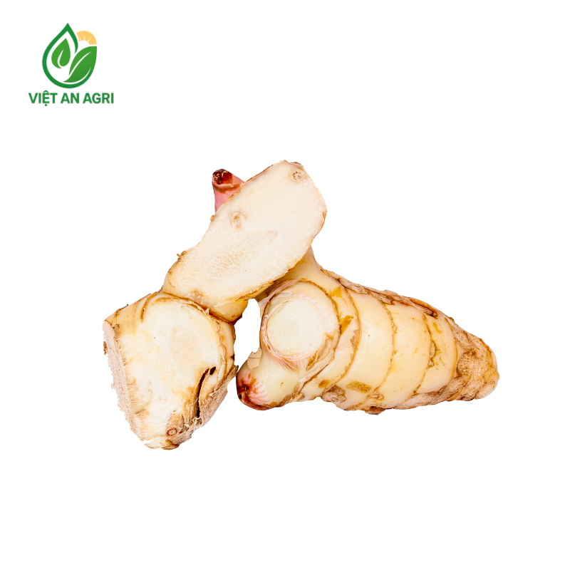 Riềng cạo vỏ