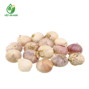 Tỏi cô đơn Ấn Độ lột vỏ