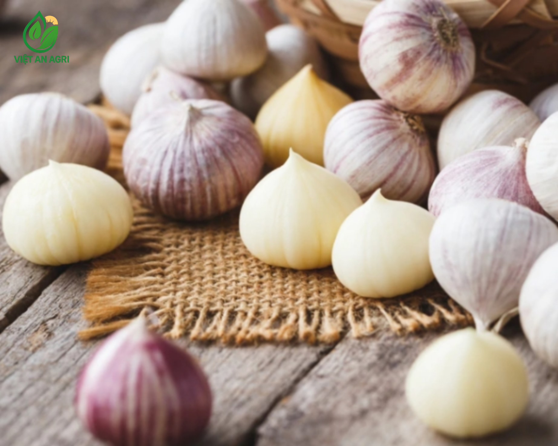 Tỏi cô đơn Ấn Độ lột vỏ
