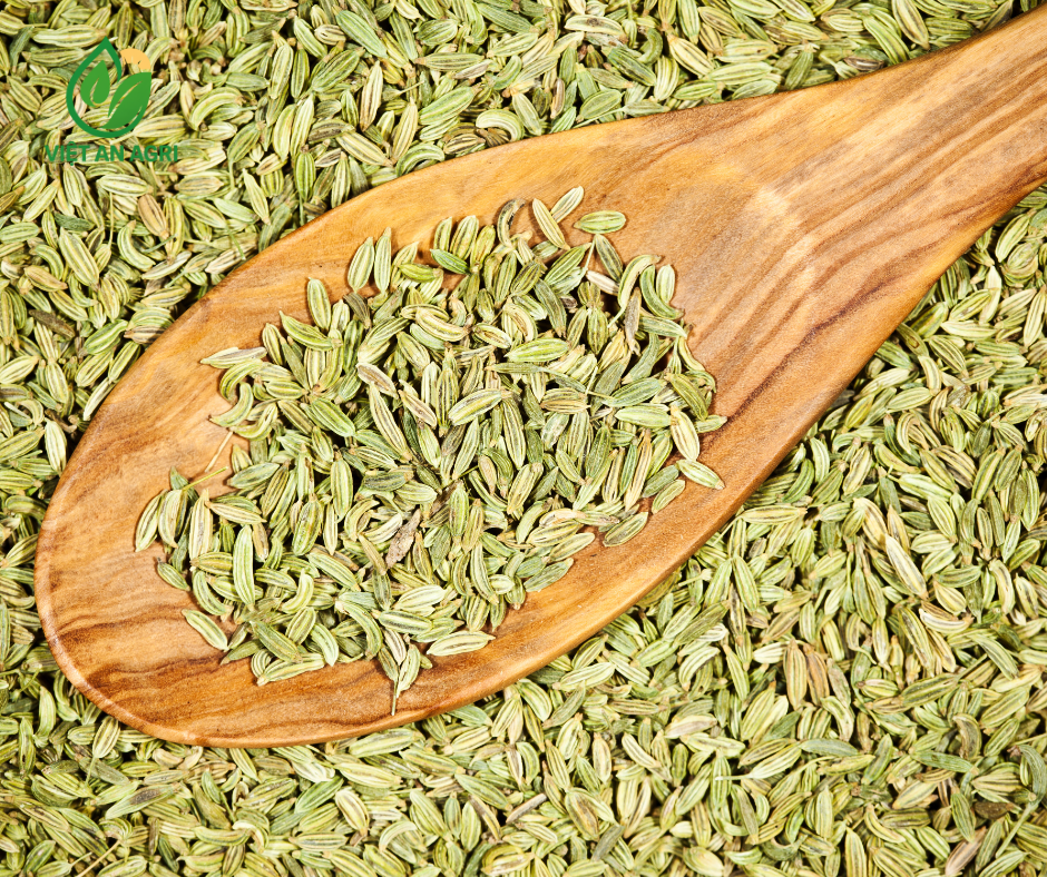 Hạt Tiểu Hồi