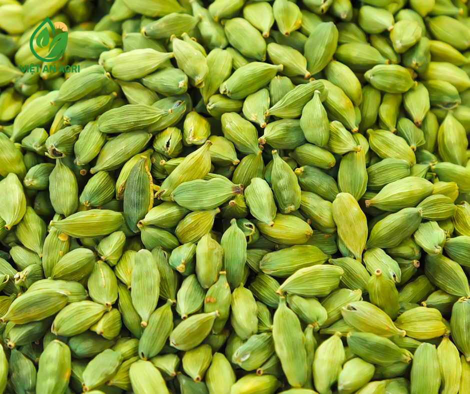 Thảo Quả