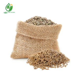 Hạt thì là cumin