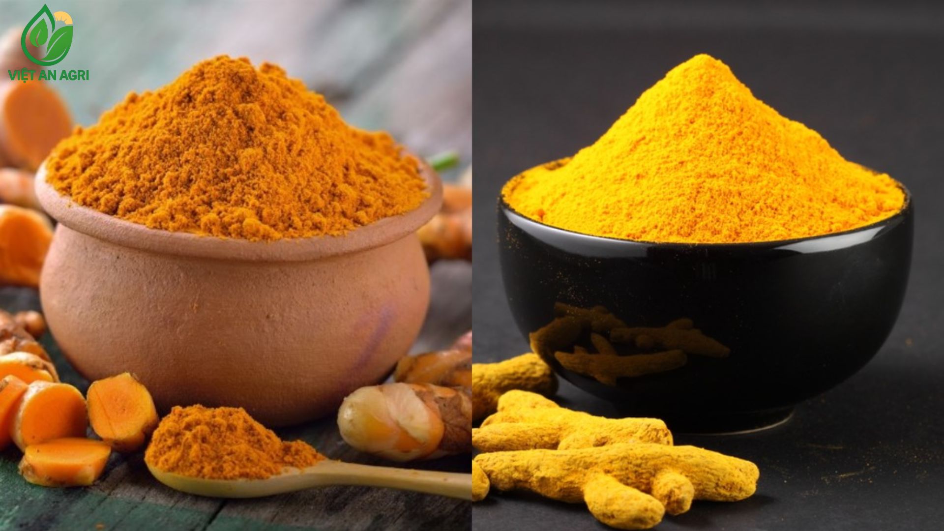 Bột-Nghệ-vàng-cam-trong-một-Bát-đất-sét-và-một-Bát-đen-Lát-củ-nghệ-tươi-và-Củ-nghệ-khô-hoặc-sấy-khô-ở-phía-trước-tất-cả-trên-phông-nền-chia-đôi-màu-xanh-gỗ-và-đen